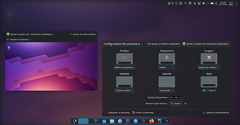 Debian12-7_liveUSBadvanced_20260121_FromInst35_002_AfterUpgrade-PannelConfig