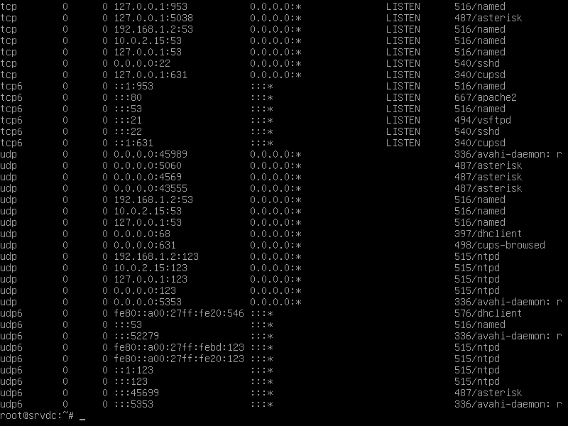 CAPTURE netstat sur ma machine virtuelle debian server