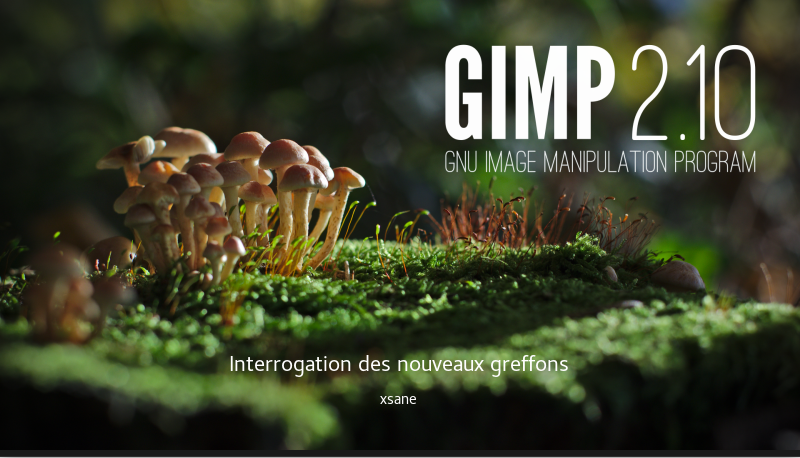 Capture du 2018-08-23 13-03-42