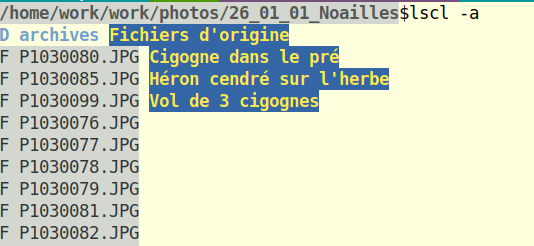 Capture du 2026-08-16 18-34-09