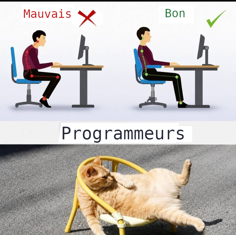 mauvais bon programmeurs