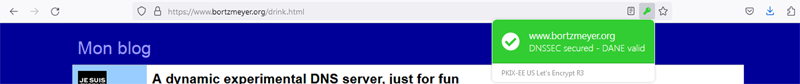 extension-firefox-dnssec-dane-validator-ex-2@defkev