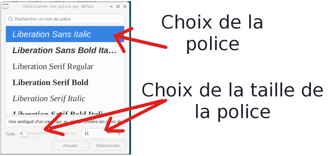 choix-police