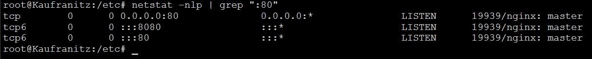 netstat%20nginx